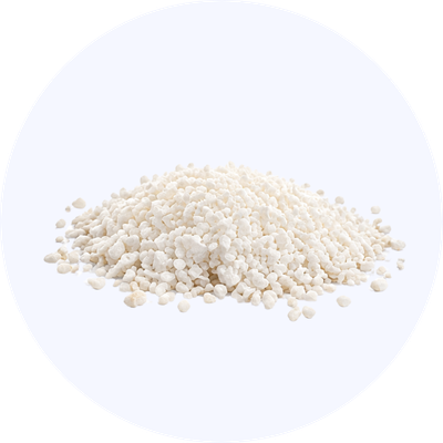 Bio-Reign® Carbonate Apatite Anorganic Bone Mineral (1)