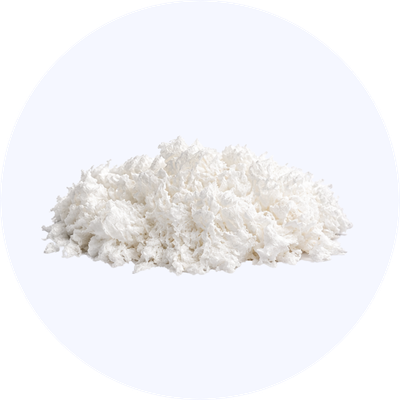 Bio-Reign® Type I Collagen